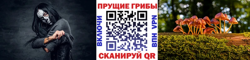 Купить  Никольск  Галлюциногенные грибы Magic Shrooms 